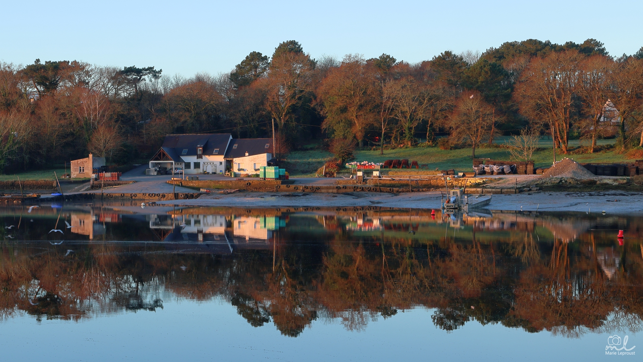 Reflet aquatique