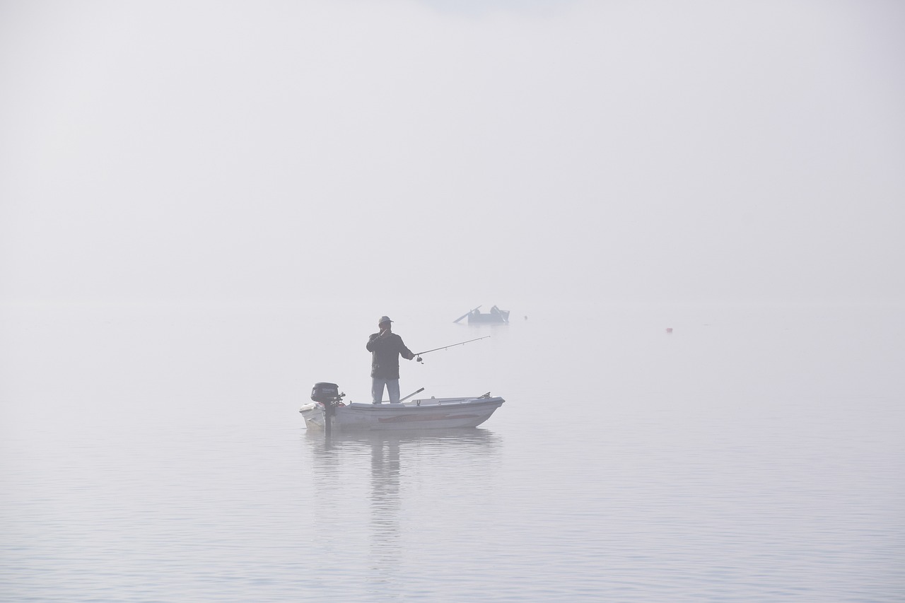 Brume et brouillard